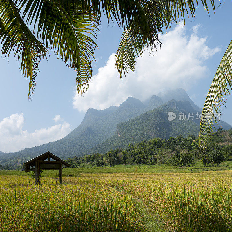 Doi Luang 山和清道。